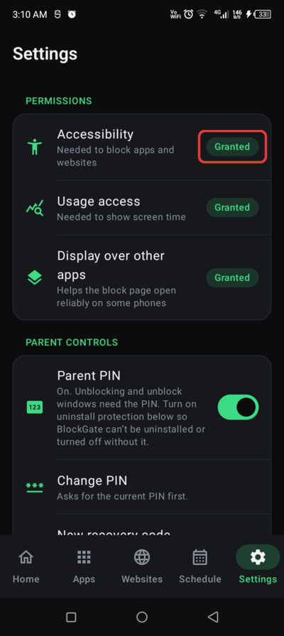 BlockGate Settings with Accessibility showing Granted