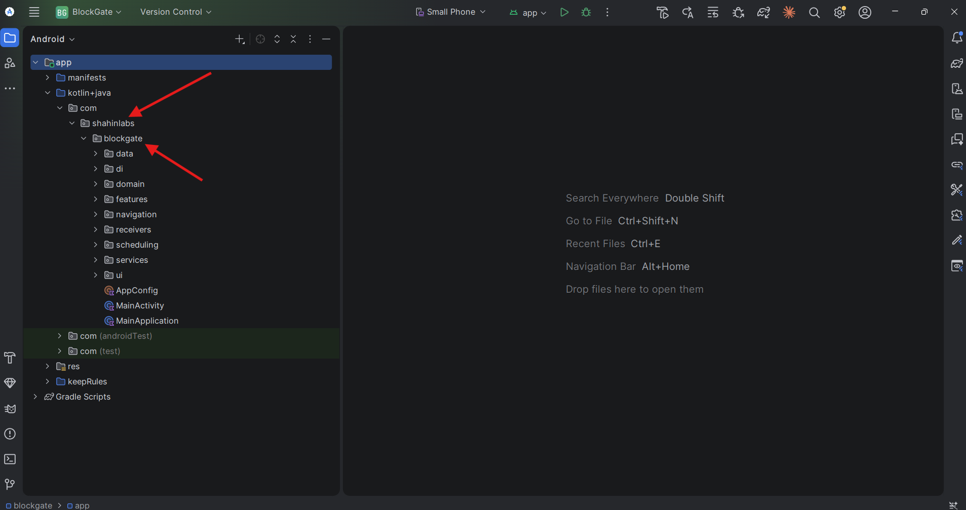 Project panel before the rename: com, shahinlabs and blockgate folders